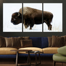 Bison Wall Art Canvas Print – Framed Western Wildlife