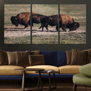 Bison Wall Art Canvas Print – Framed Western Wildlife Modern by MyGreatCanvas | Canvas Wall Art Prints | Photo Prints & Wall Decor