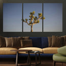 Joshua Tree Wall Art Canvas Print – Framed Southwestern