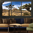 Joshua Tree Desert Wall Art Canvas Print – Framed