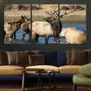 Wild Elk Wall Art Canvas Print – Framed Neutral Wildlife