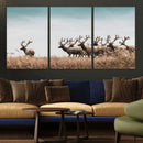 Elk Herd Wall Art Canvas Print – Framed Wildlife Photography