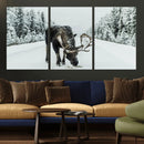 Moose Snow Wall Art Canvas Print – Framed Winter Wildlife