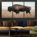 American Bison Wall Art Canvas Print – Majestic Buffalo