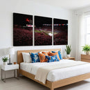William Brice Stadium Wall Art Print – Baseball Game Room