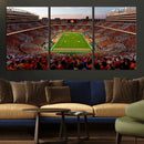 Tennessee Neyland Stadium Wall Art, Sports Arena Canvas by MyGreatCanvas | Canvas Wall Art Prints | Photo Prints & Wall Decor