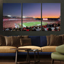 Dooley Stadium Wall Art, Sports Arena Canvas Print, Dooley by MyGreatCanvas | Canvas Wall Art Prints | Photo Prints & Wall Decor