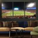 Dooley Stadium Wall Art, Sports Arena Panoramic Canvas by MyGreatCanvas | Canvas Wall Art Prints | Photo Prints & Wall Decor