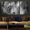 Wild Old Elephant Wall Art Canvas Print