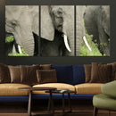 Wild Elephant Wall Art Canvas Print by MyGreatCanvas | Canvas Wall Art Prints | Photo Prints & Wall Decor