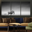 Elephand and Zebra Wall Art Canvas Print, Modern Artwork