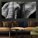 Big Elephant Close Up Wall Art Canvas Print