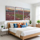 Donald W. Reynolds Razorback Stadium Wall Art Canvas Print –