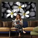 Plumeria Frangipani Black Stone Canvas | White Flower Spa by MyGreatCanvas | Canvas Wall Art Prints | Photo Prints & Wall Decor