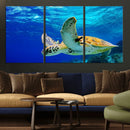 Sea Turtle Wall Art Canvas Print, Sea life in the Ocean Wall