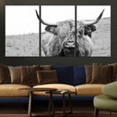 Newfoundland Cow Art Wall Art, Black White Cow Art Wall Art
