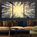 Tree and Sunshine Canvas Print