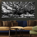 Mighty Angel Oak Wall Art | Angel Oak Tree Art Print by MyGreatCanvas | Canvas Wall Art Prints | Photo Prints & Wall Decor