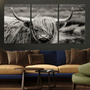 Cow Focus Canvas Wall Art Print by MyGreatCanvas | Canvas Wall Art Prints | Photo Prints & Wall Decor