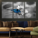 Blue Butterfly Black and White Canvas Wall Art by MyGreatCanvas | Canvas Wall Art Prints | Photo Prints & Wall Decor
