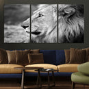 African Lion Wall Art Canvas Print – Majestic Wildlife
