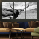 Cattle Wall Art Longhorn Cow Canvas Print