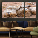 Lion Pair Wall Art Canvas Print – Framed Wildlife Scene with
