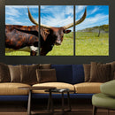 Longhorn and Cow Wall Art, Country Cow Wall Decor Canvas by MyGreatCanvas | Canvas Wall Art Prints | Photo Prints & Wall Decor