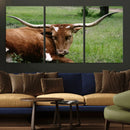 Longhorn Steer Canvas Wall Art – Rustic Nature Triptych
