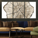 Abstract Wood Tree Ring Wall Art - Ready to Hang Minimalist