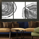 Abstract Large Tree Rings – Minimalist Black and White Wood