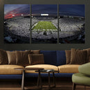 Penn State University Nittany Lions Football Team Print -