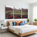 Wisconsin Badgers Team Print Canvas - Madison Camp Randall