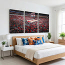 Louisville Cardinals Basketball Print Canvas - Louisville