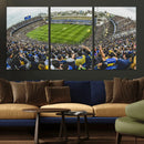 Boca Juniors Soccer Team Print Wall Art - Buenos Aires