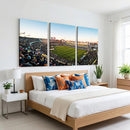 Boca Juniors Soccer Team Print - Buenos Aires Bombonera
