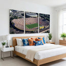 Michigan Wolverines Football Team Print - Ann Arbor Michigan