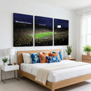 Michigan Wolverines Football Canvas Wall Decor, Football