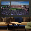 South Carolina Gamecocks Football Team Print - Columbia