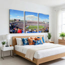 Buffalo Bills NFL Football Team Print - Buffalo Highmark