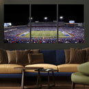 Buffalo Bills Wall Art - Buffalo Bills Stadium Canvas Print,