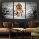 Jaguar Wall Art Canvas Print - Majestic Big Cat in Focused by MyGreatCanvas | Canvas Wall Art Prints | Photo Prints & Wall Decor