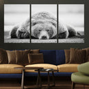 Resting Grizzly Bear Wall Art Canvas Print – Majestic Lazy by MyGreatCanvas | Canvas Wall Art Prints | Photo Prints & Wall Decor