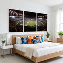 Eagles Field Stadium Wall Art - Philadelphia Eagles Football