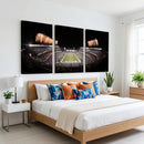 Eagles Field Stadium Wall Art - Lincoln Financial Field