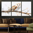 Barn Owl Wall Art on Branch | Stunning Canvas Print for