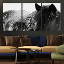 Black Horse in Snow Canvas Print | Winter Horse Wall Art |
