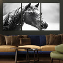 Horse Canvas Print - Winter Horse Snow Wall Art Canvas Print