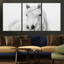 Majestic White Horse Wall Art | Ready to Hang and Framed |