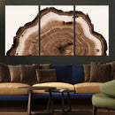 Rustic Wood Rings Wall Art | Nature-Inspired Tree Ring
